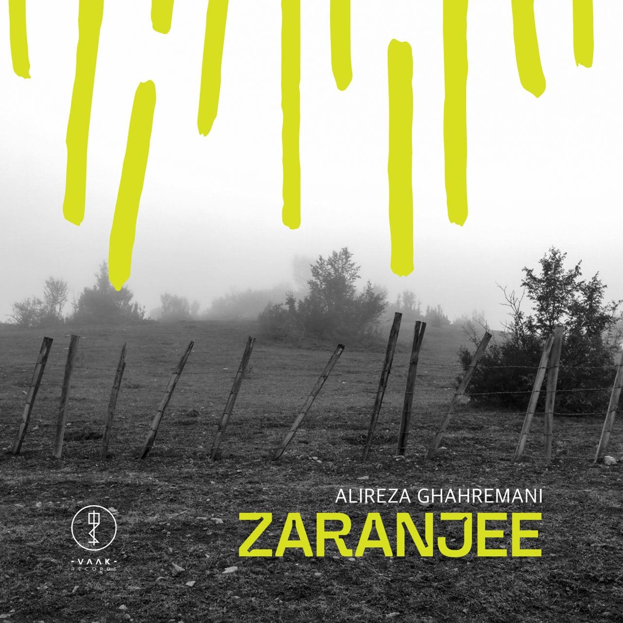 Zaranjee album cover