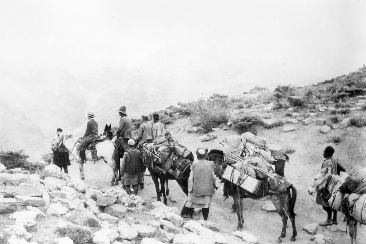 Grass: A Nation's Battle for Life (1925)